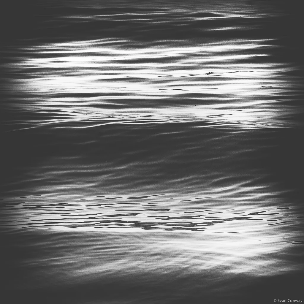 Evan_Conway_BW_BLURS7.jpg
