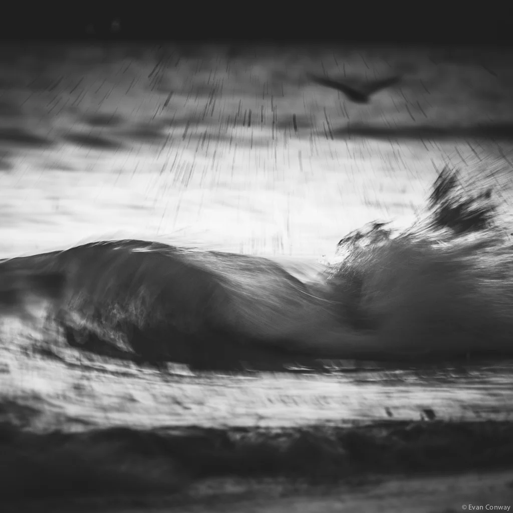 Evan_Conway_BW_BLURS9.jpg