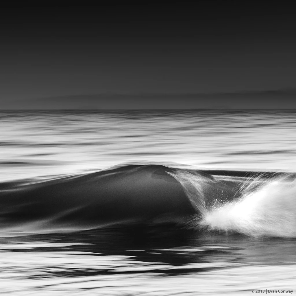 Evan_Conway_BW_square_1.jpg
