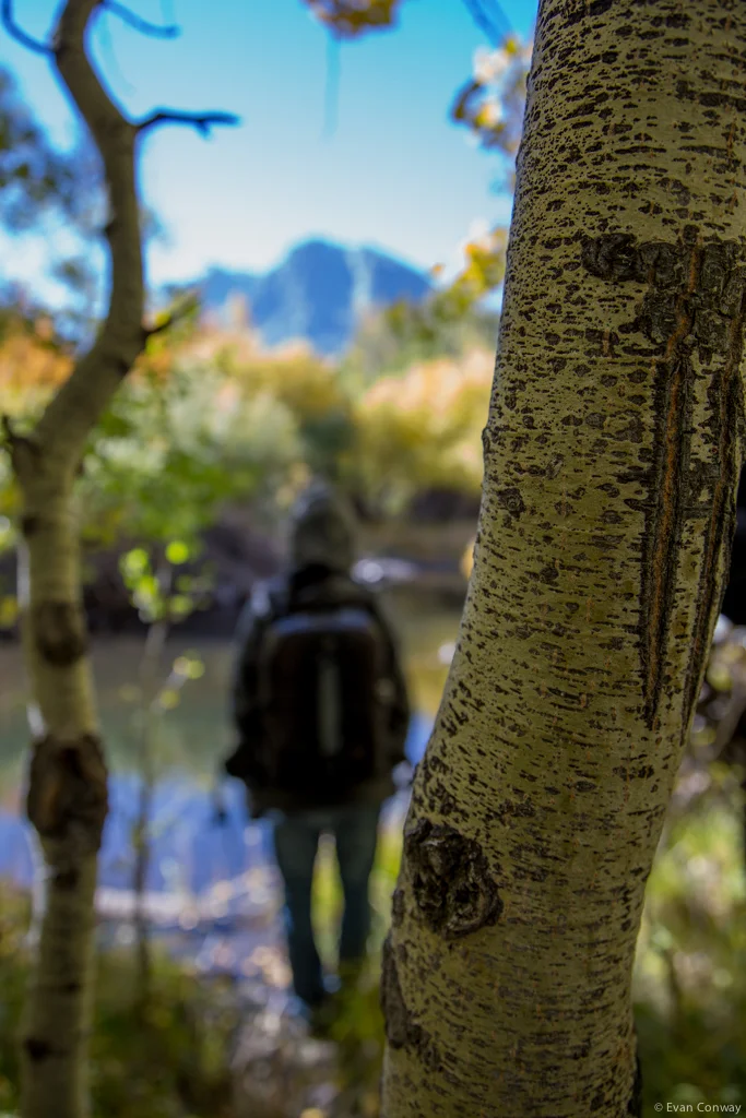 Evan_Conway_Desert_nature4.jpg