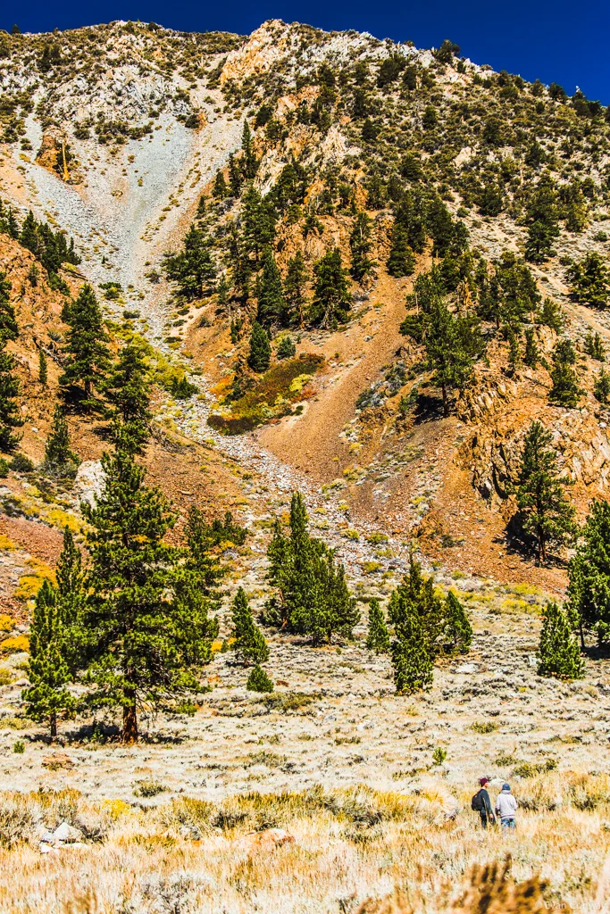 Evan_Conway_Desert_nature9.jpg