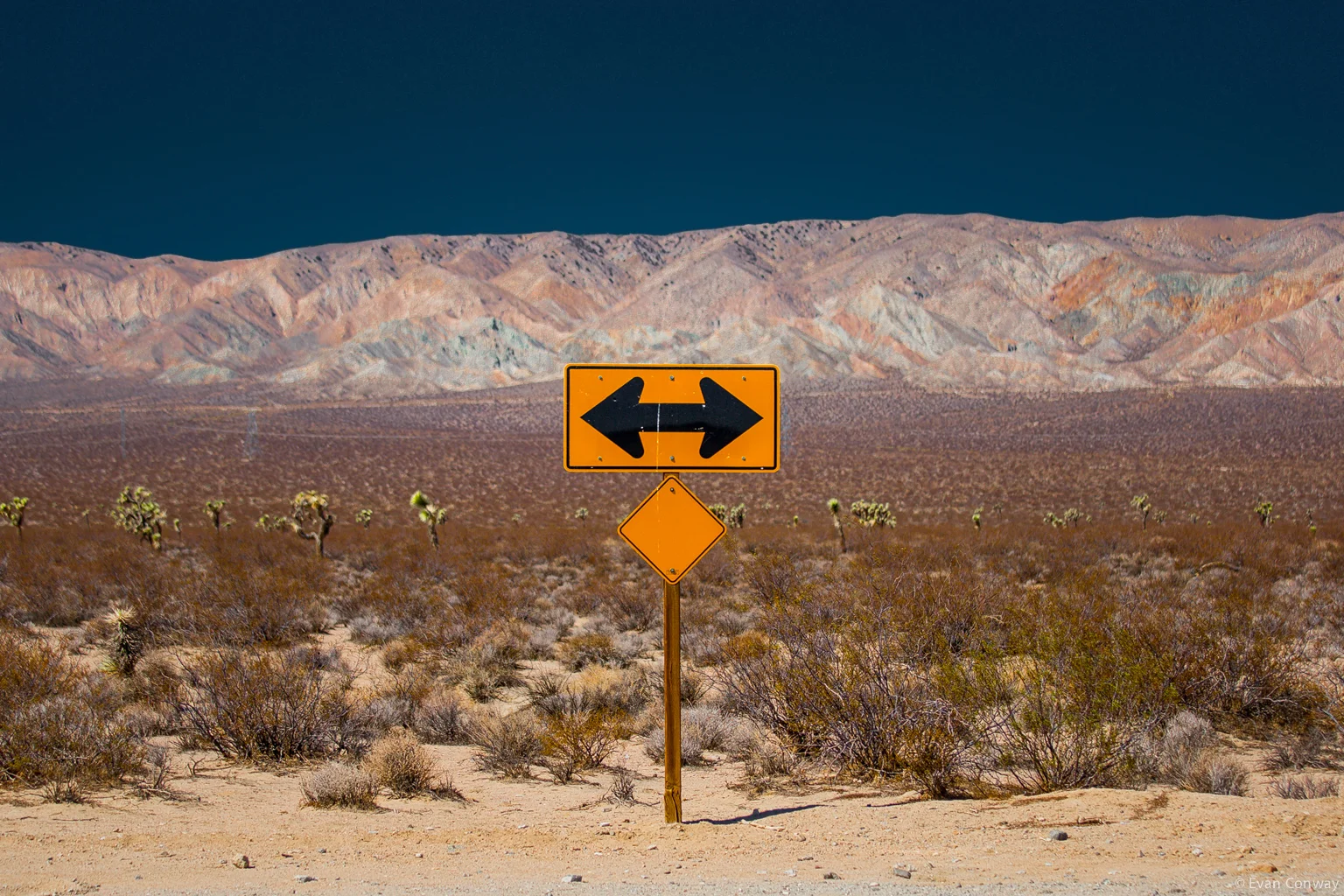 Evan_Conway_Desert_nature15.jpg
