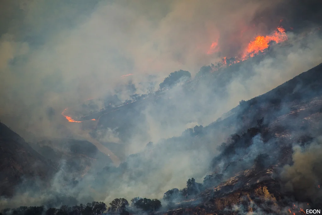 Evan_Conway_fire6.jpg