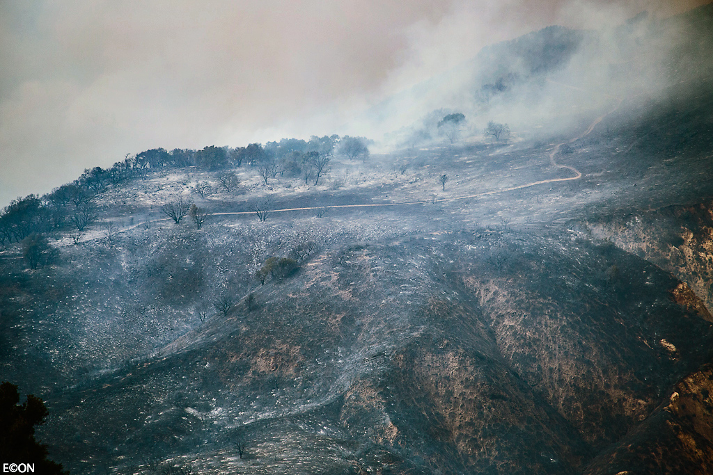 Evan_Conway_fire11.jpg