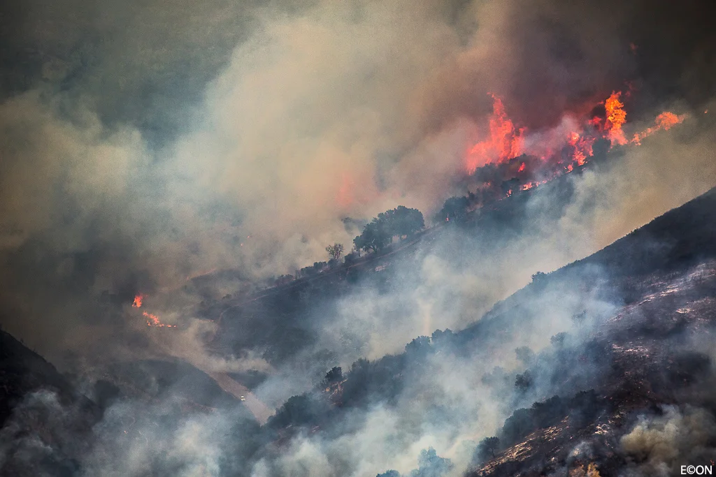 Evan_Conway_fire12.jpg