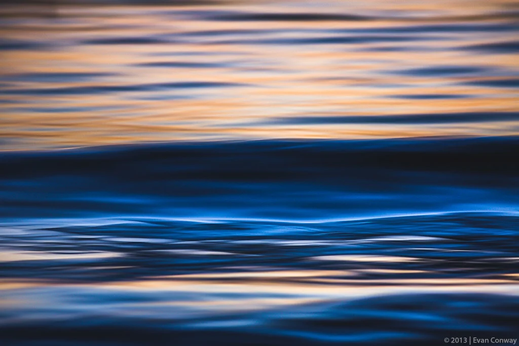 Evan_Conway_nature_telephoto1.jpg