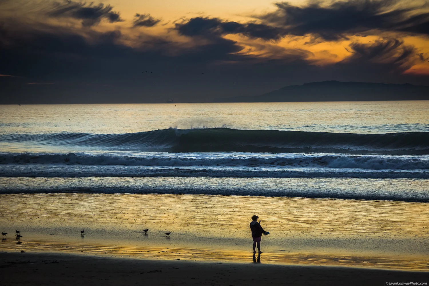 Evan_Conway_Ventura-0037-Edit.jpg