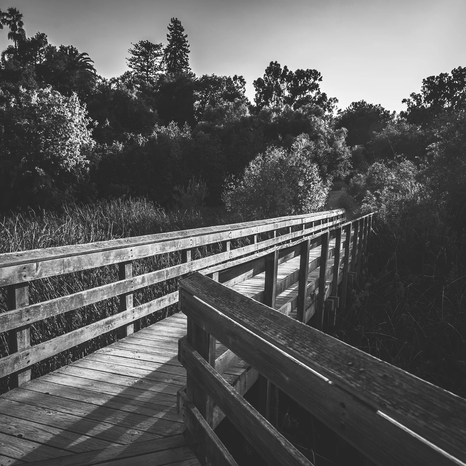 EvanConway_BW_top_20_1.jpg