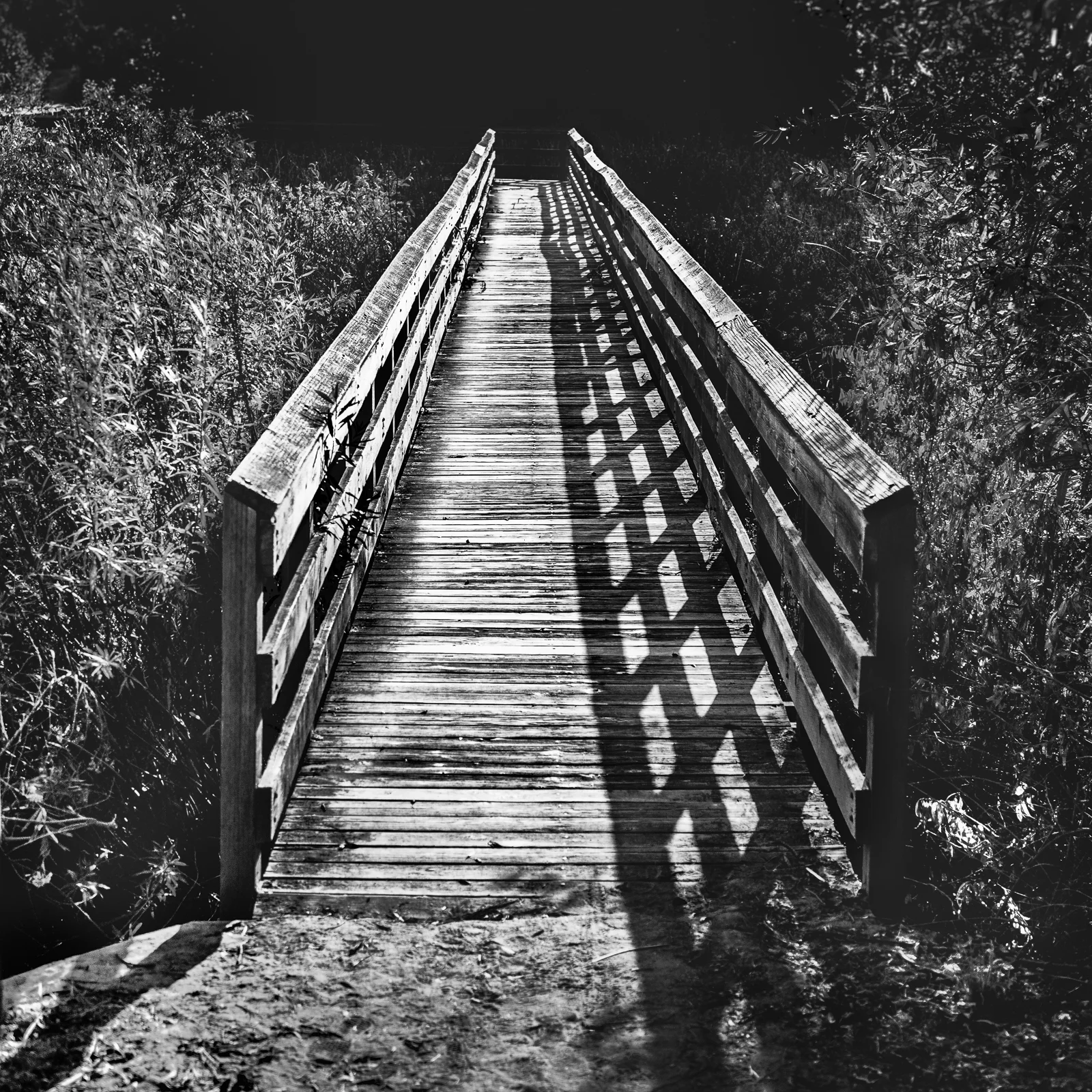 EvanConway_BW_top_20_17.jpg