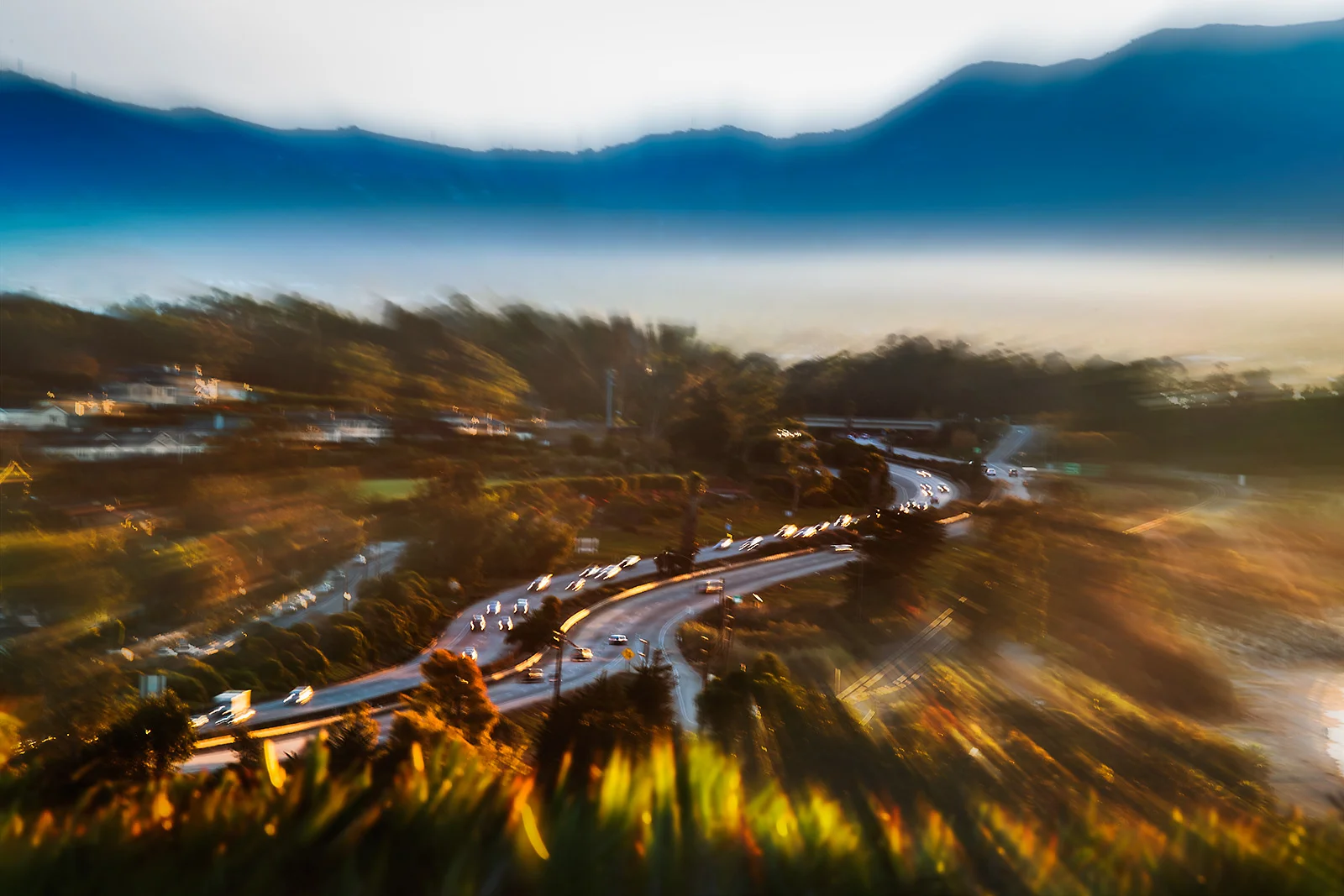 EvanConway_california-7219_1600.jpg