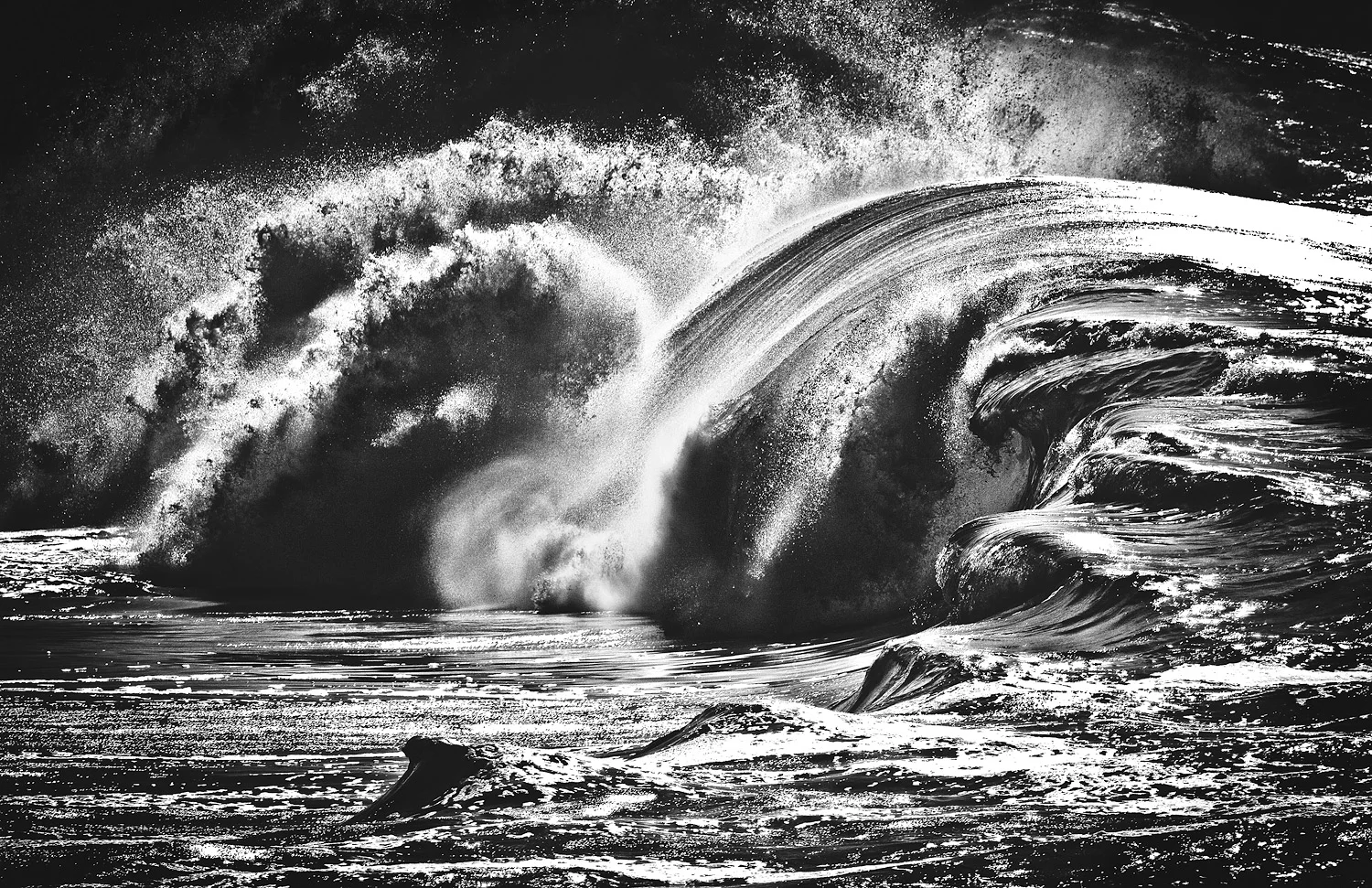 BrightWaimea-9976_BW.jpg