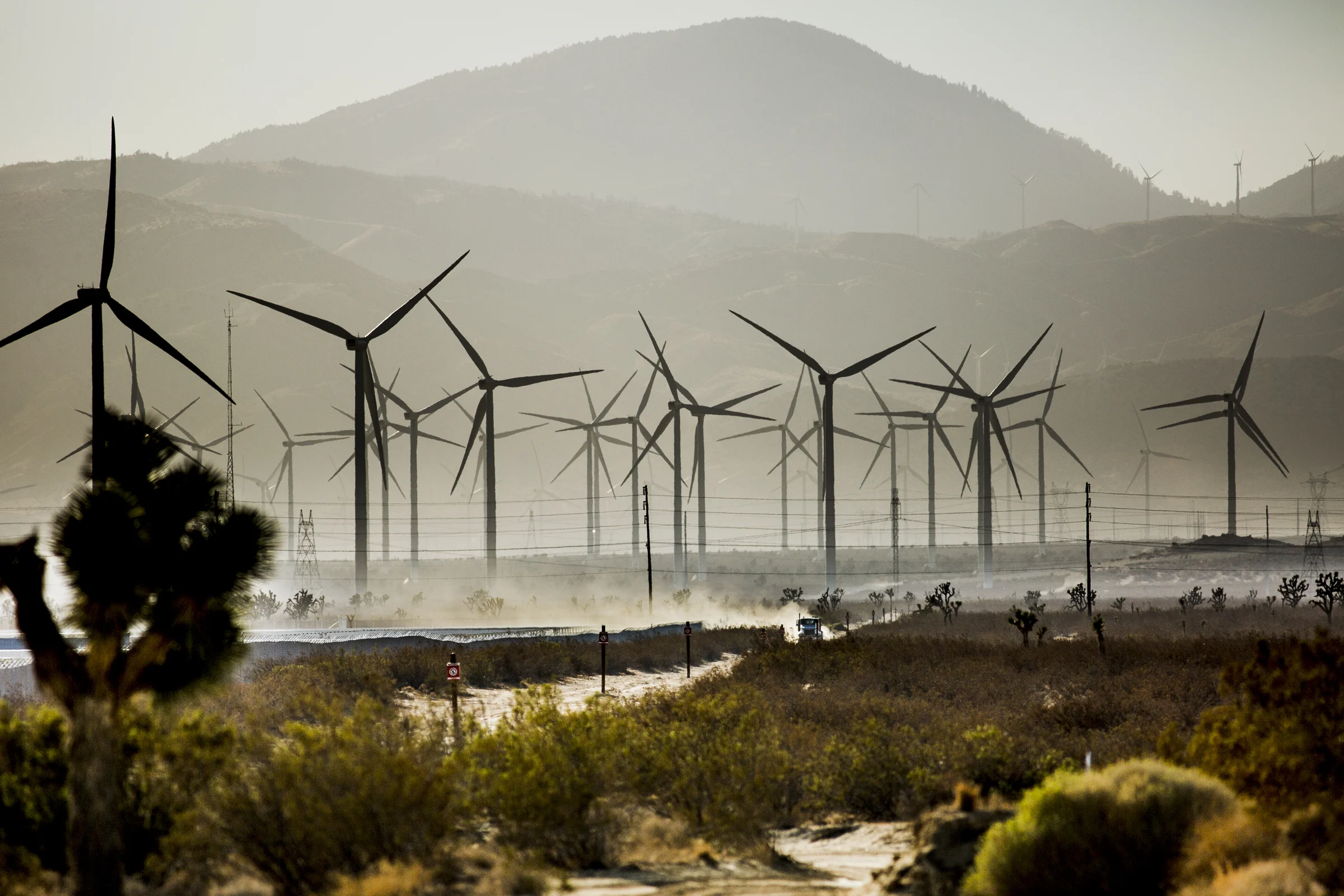  A huge wind farm outside of mojave, california. 