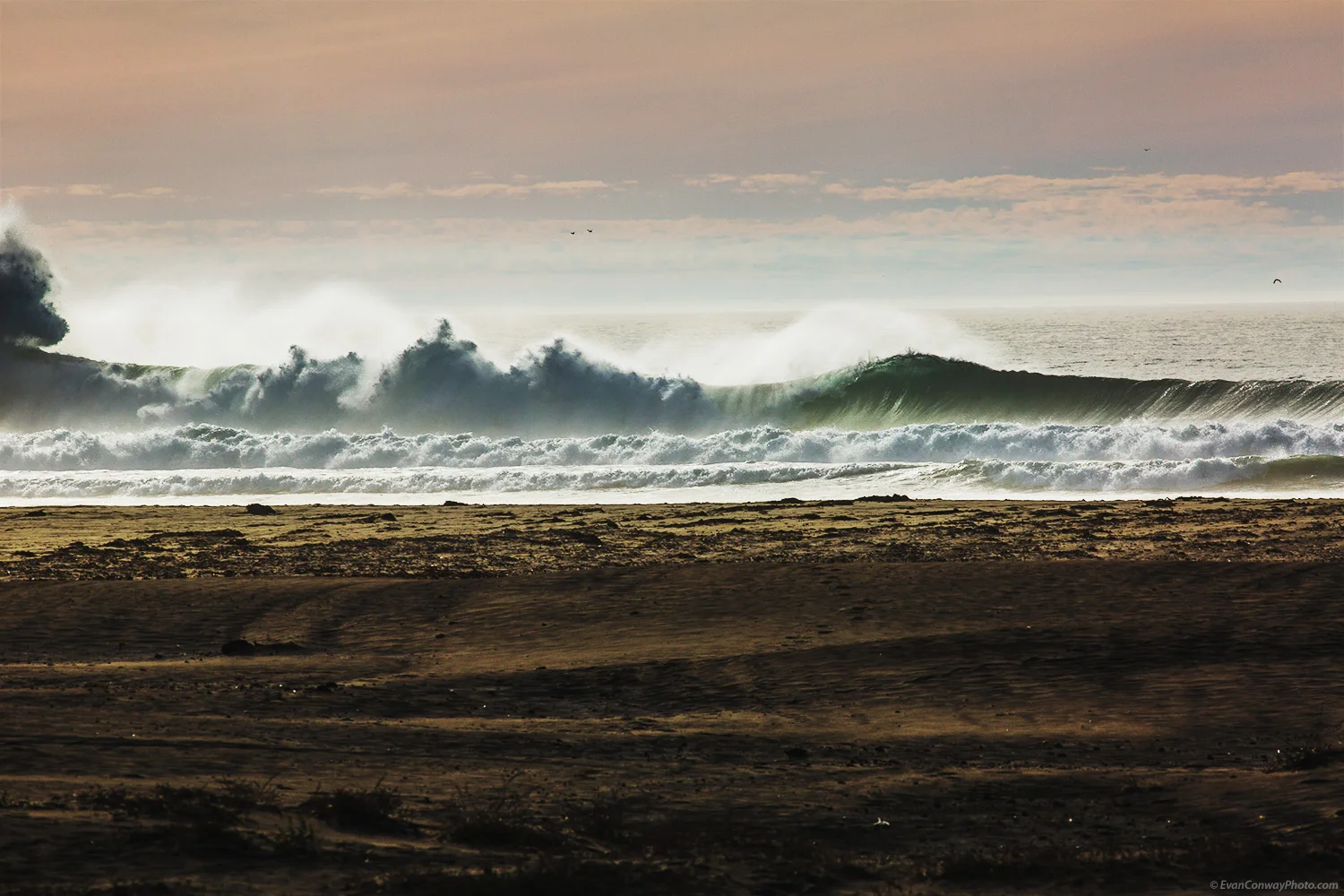 MorroBay_Conway_83_web.jpg