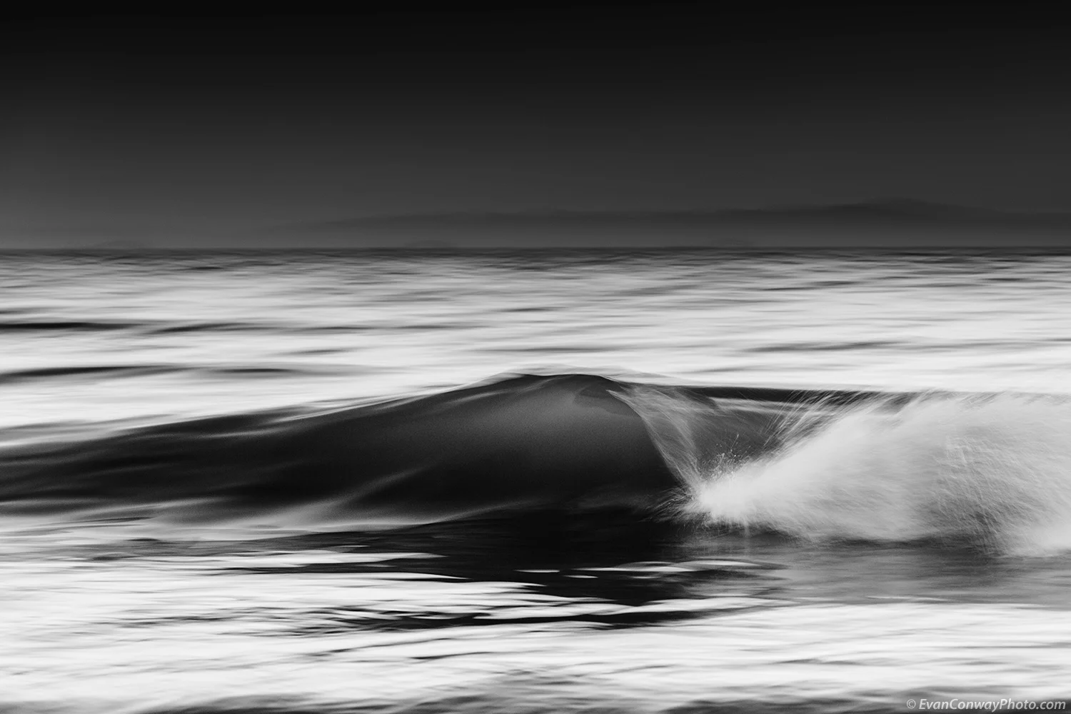 Nature-8920-1500_BW_WEB.jpg