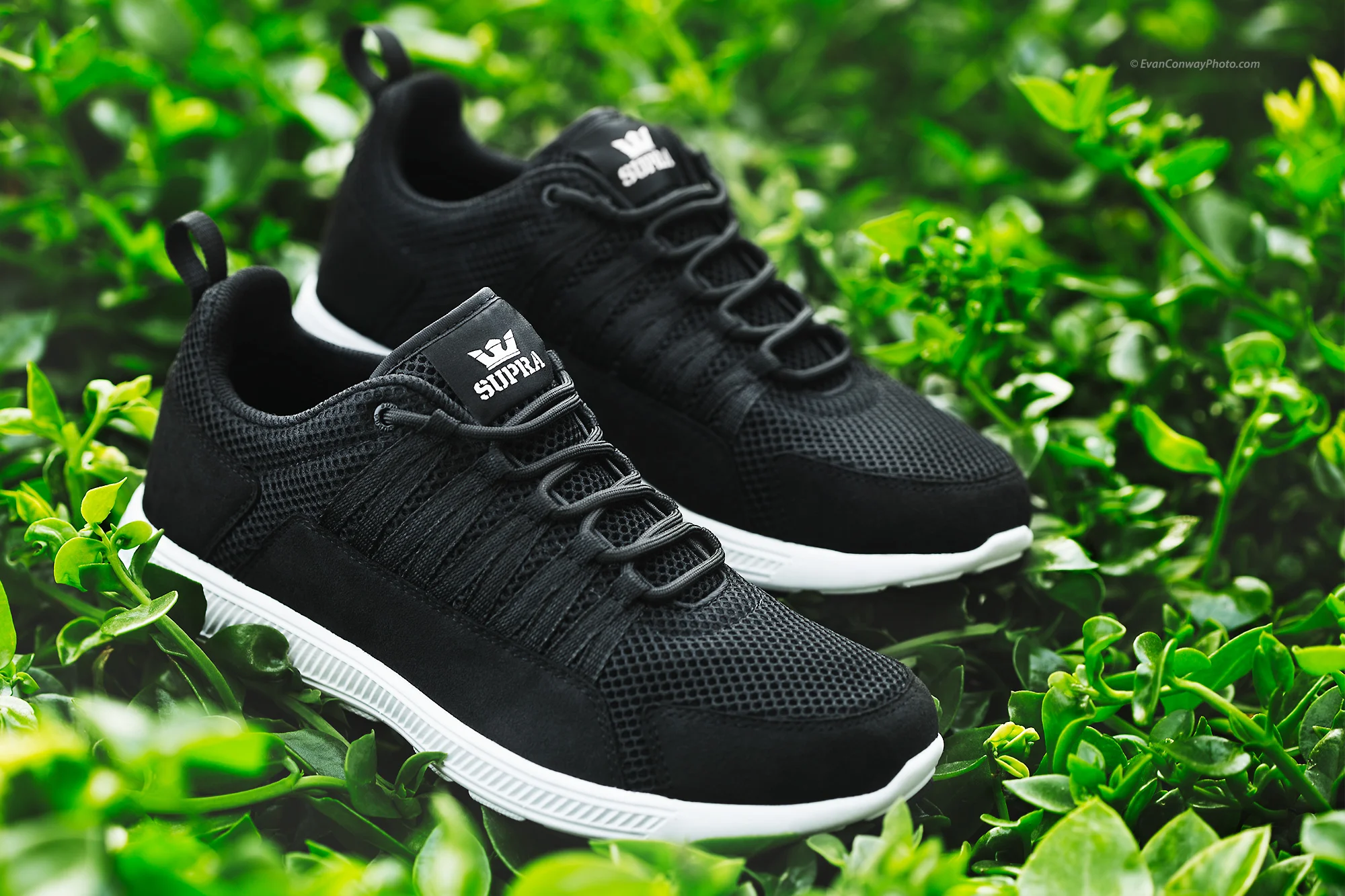 Supra-4239-Edit.jpg