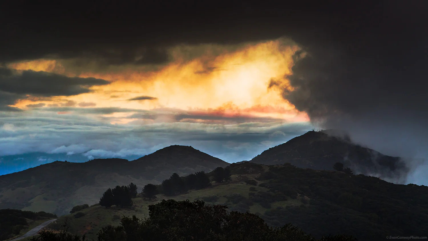 untitled-shoot-4326-Edit.jpg
