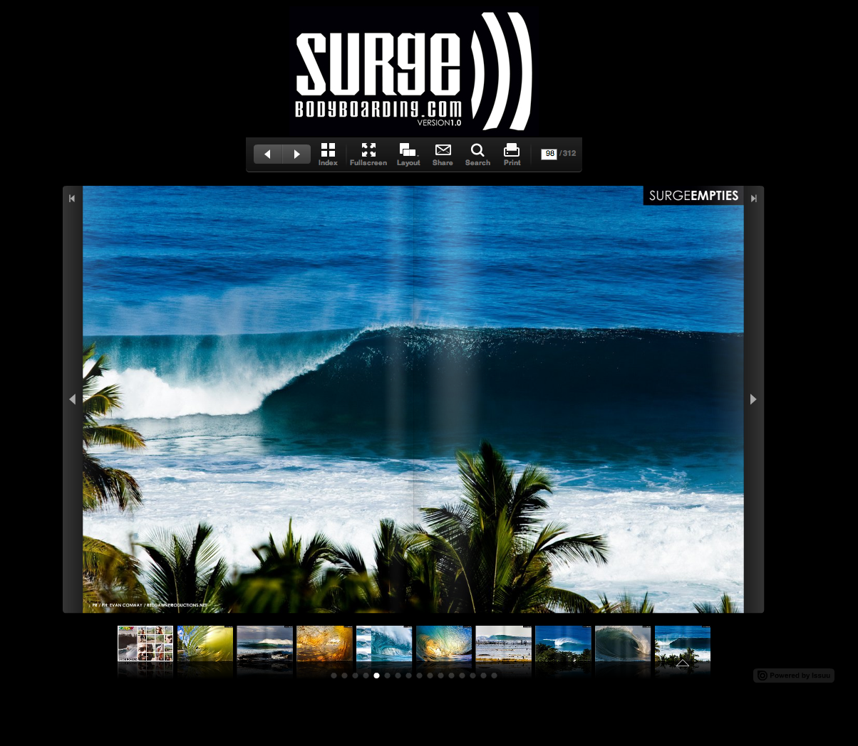SurgePicture 14.png