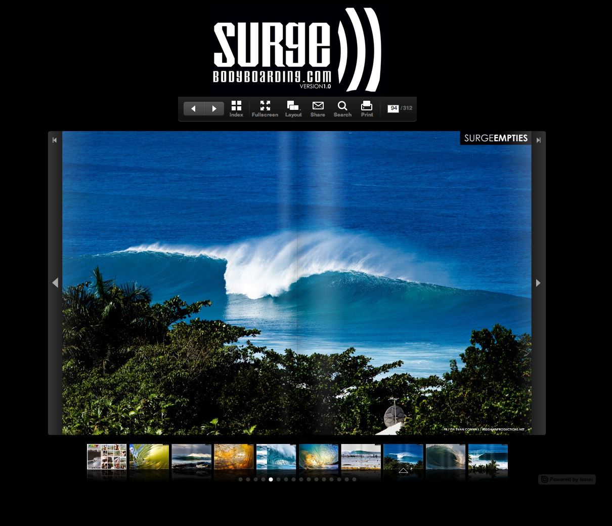 SurgePicture 13.png