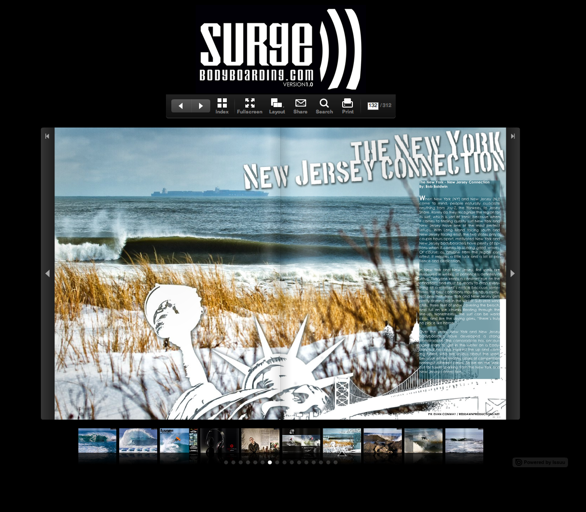 SurgePicture 15.png