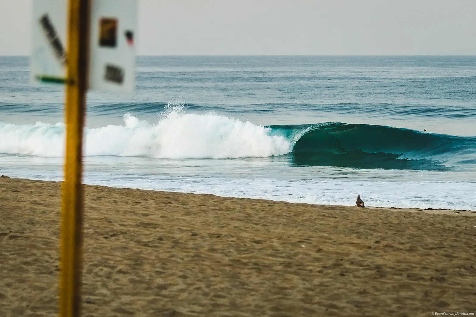 malibu-7248.jpg