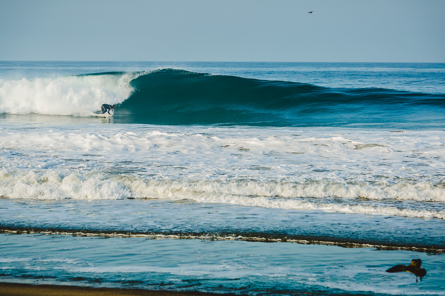 malibu-7546.jpg