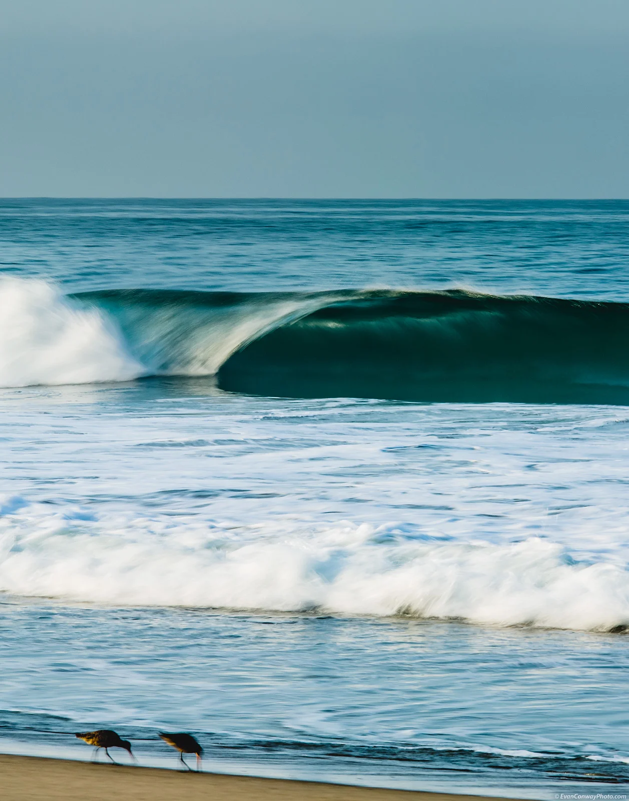 malibu-7567.jpg