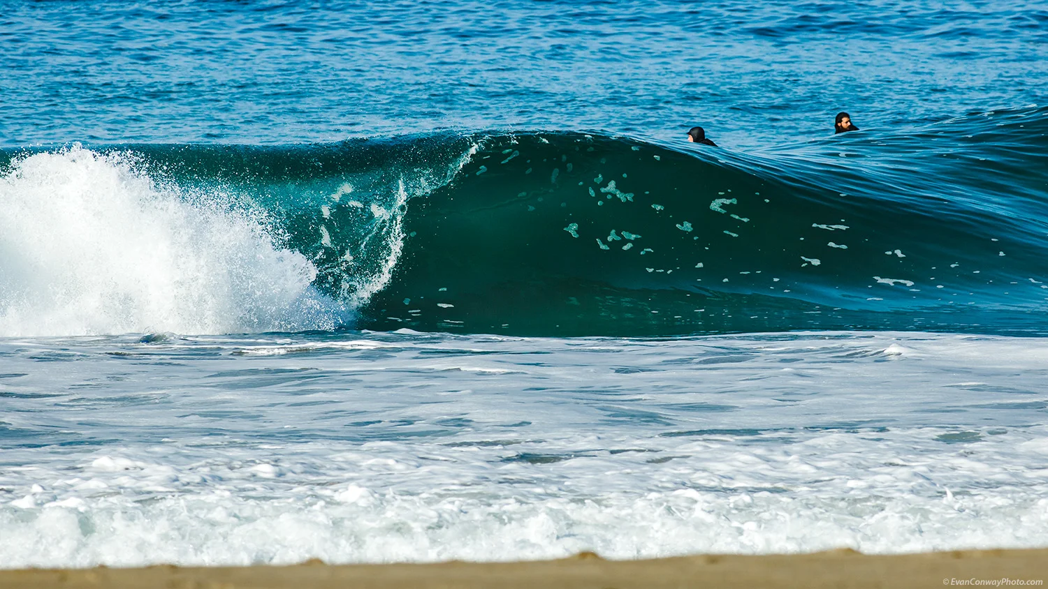 malibu-7858.jpg