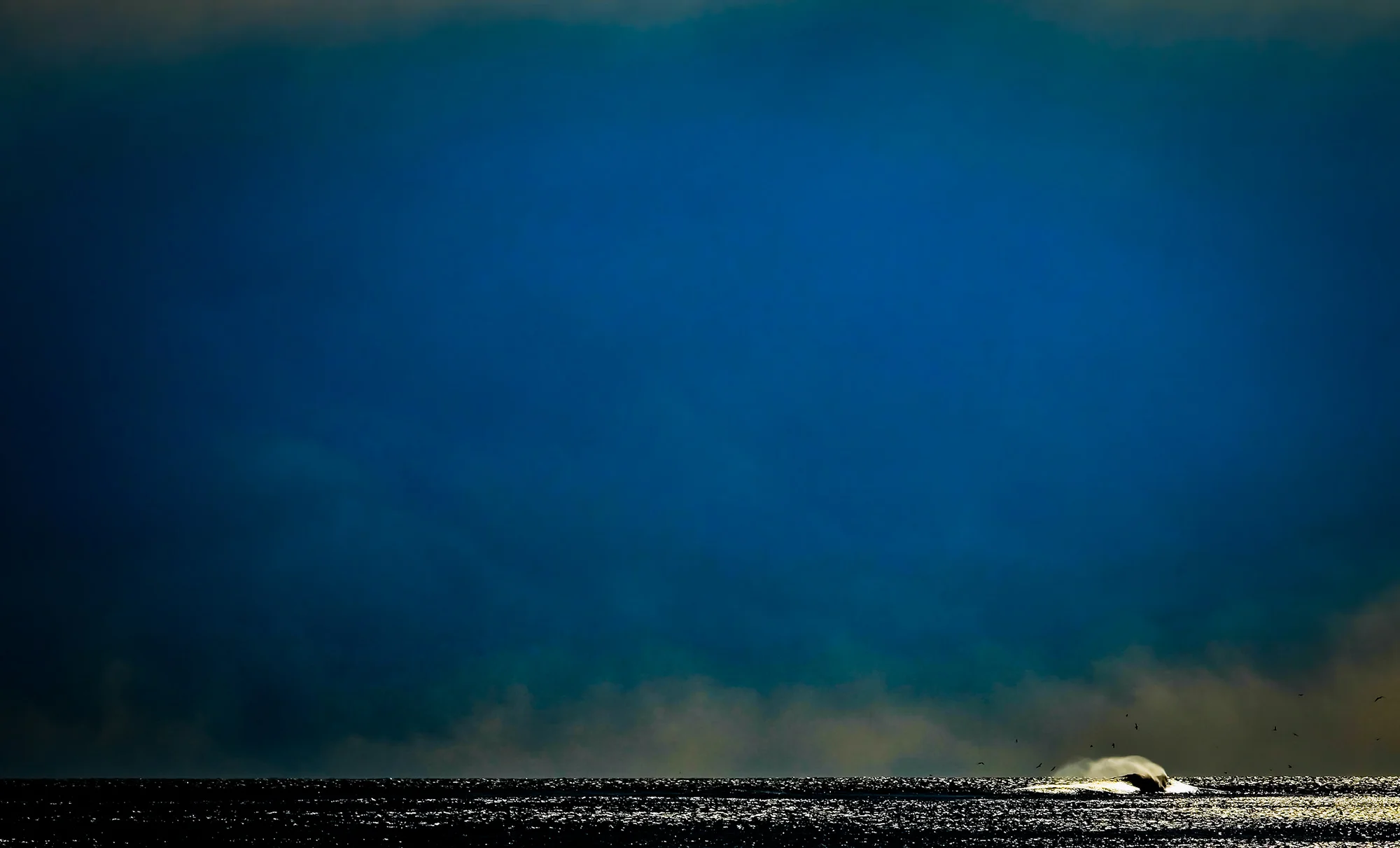Squan-1481-Edit.jpg