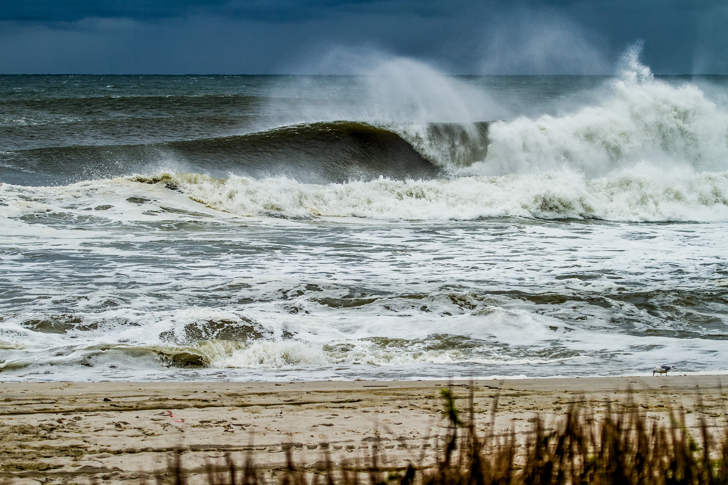 Conway_LBNY_9684_6677.jpg