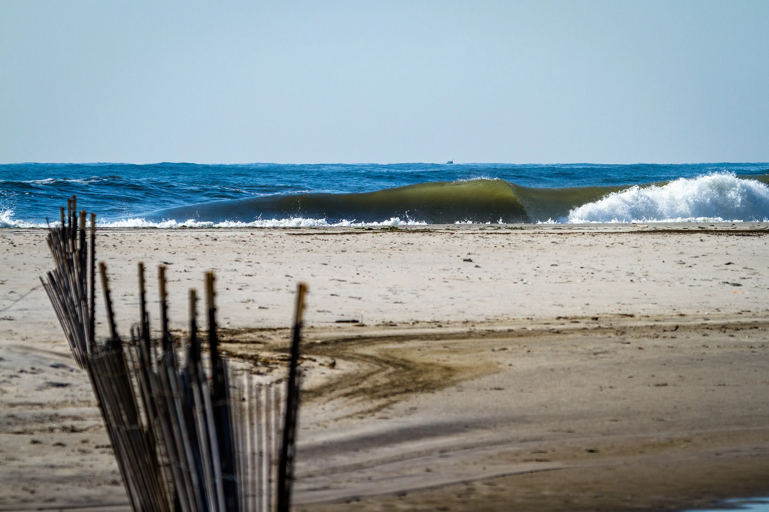 Conway_LBNY_9828.jpg