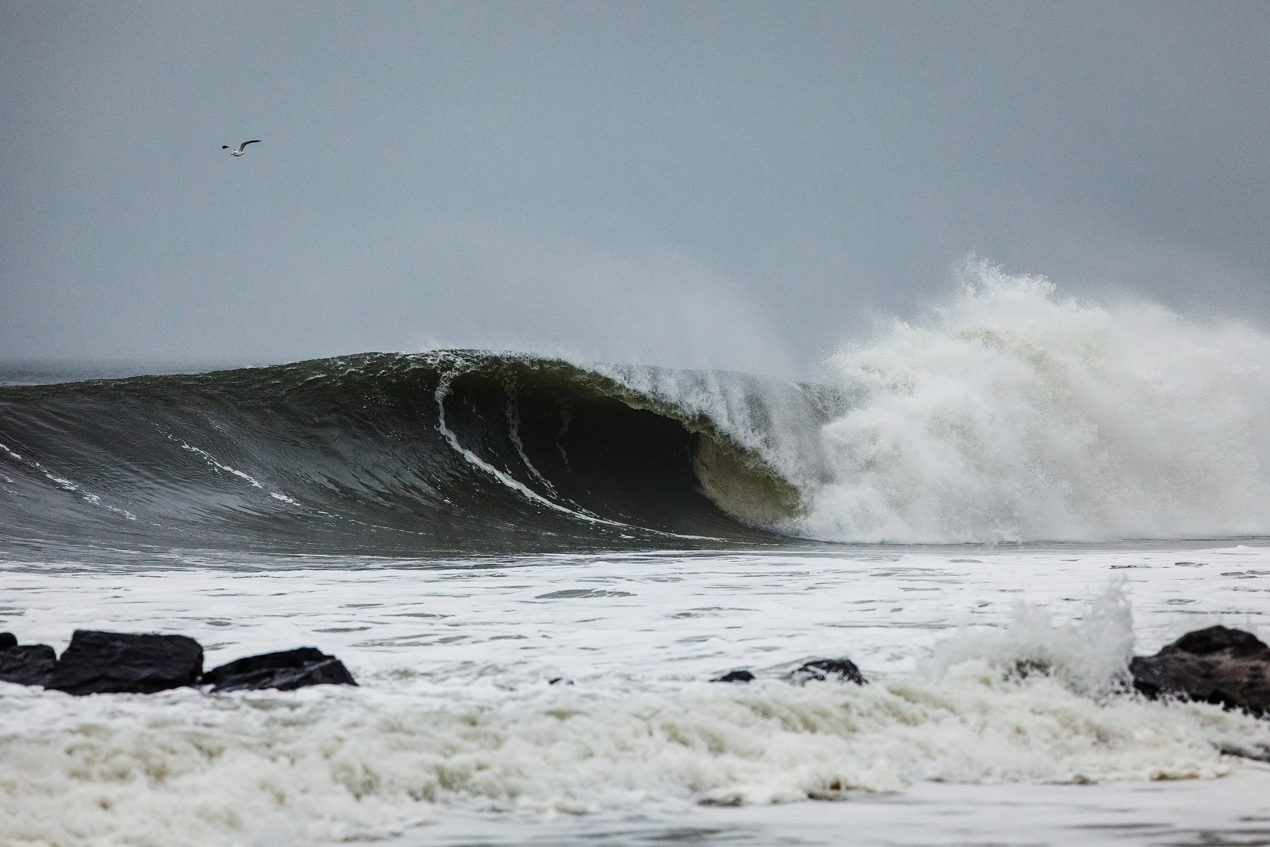 Conway_LBNY-2-87.jpg