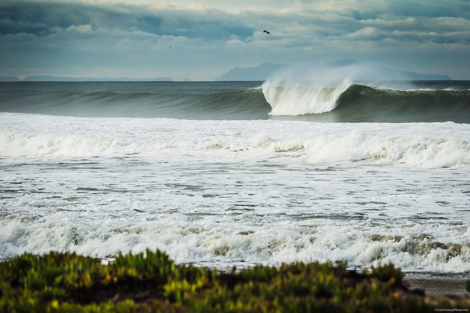 untitled-shoot-9020-2-Edit.jpg