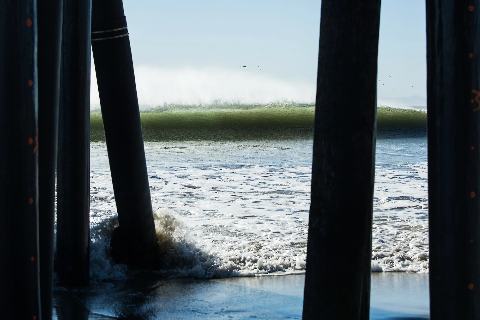 California-2-59.jpg