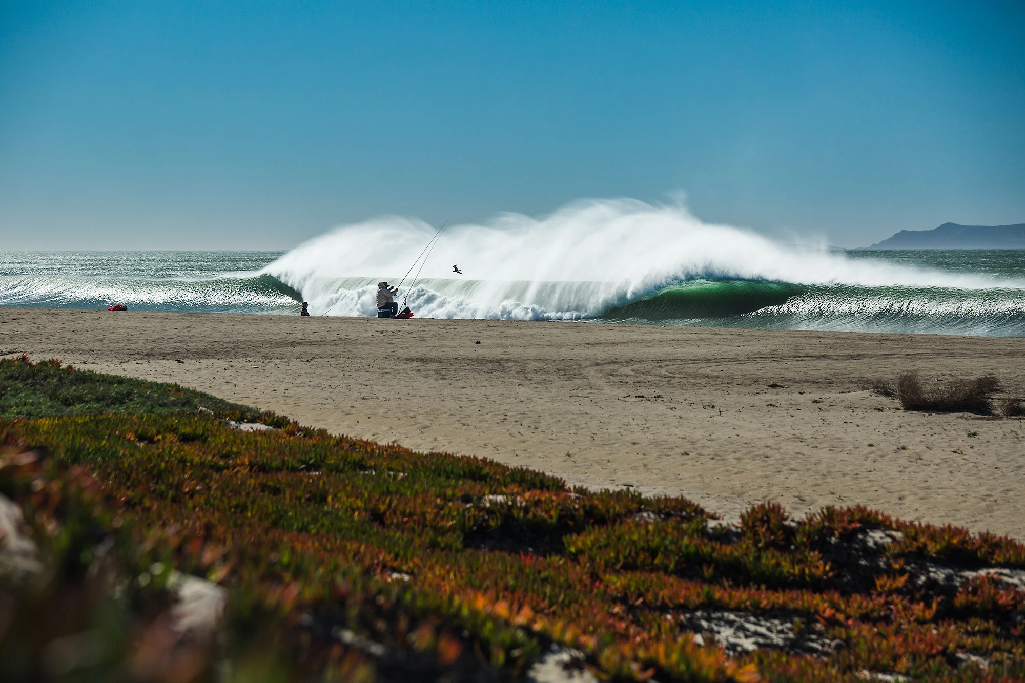 California-2135.jpg