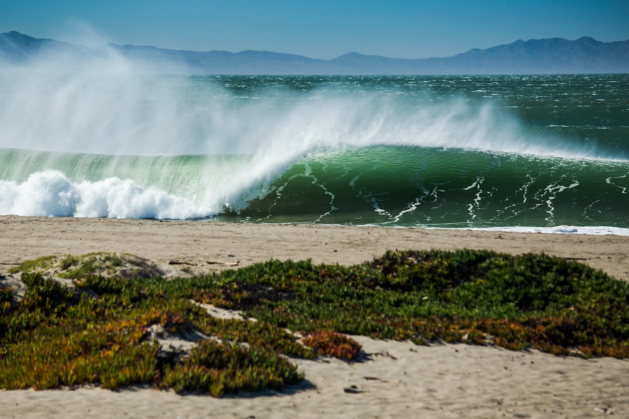 California-2143.jpg