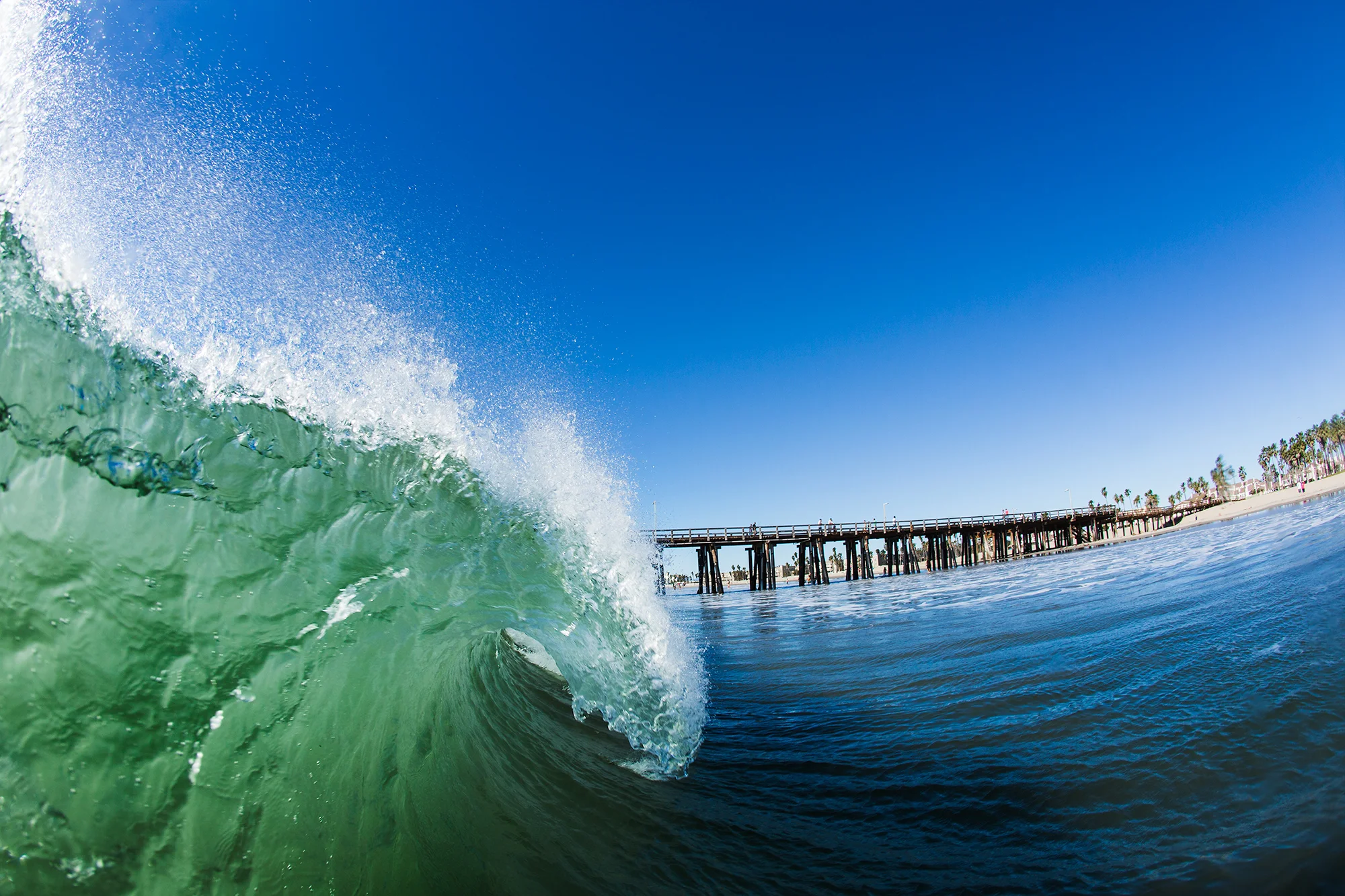 Hueneme_15mm-2-29.jpg