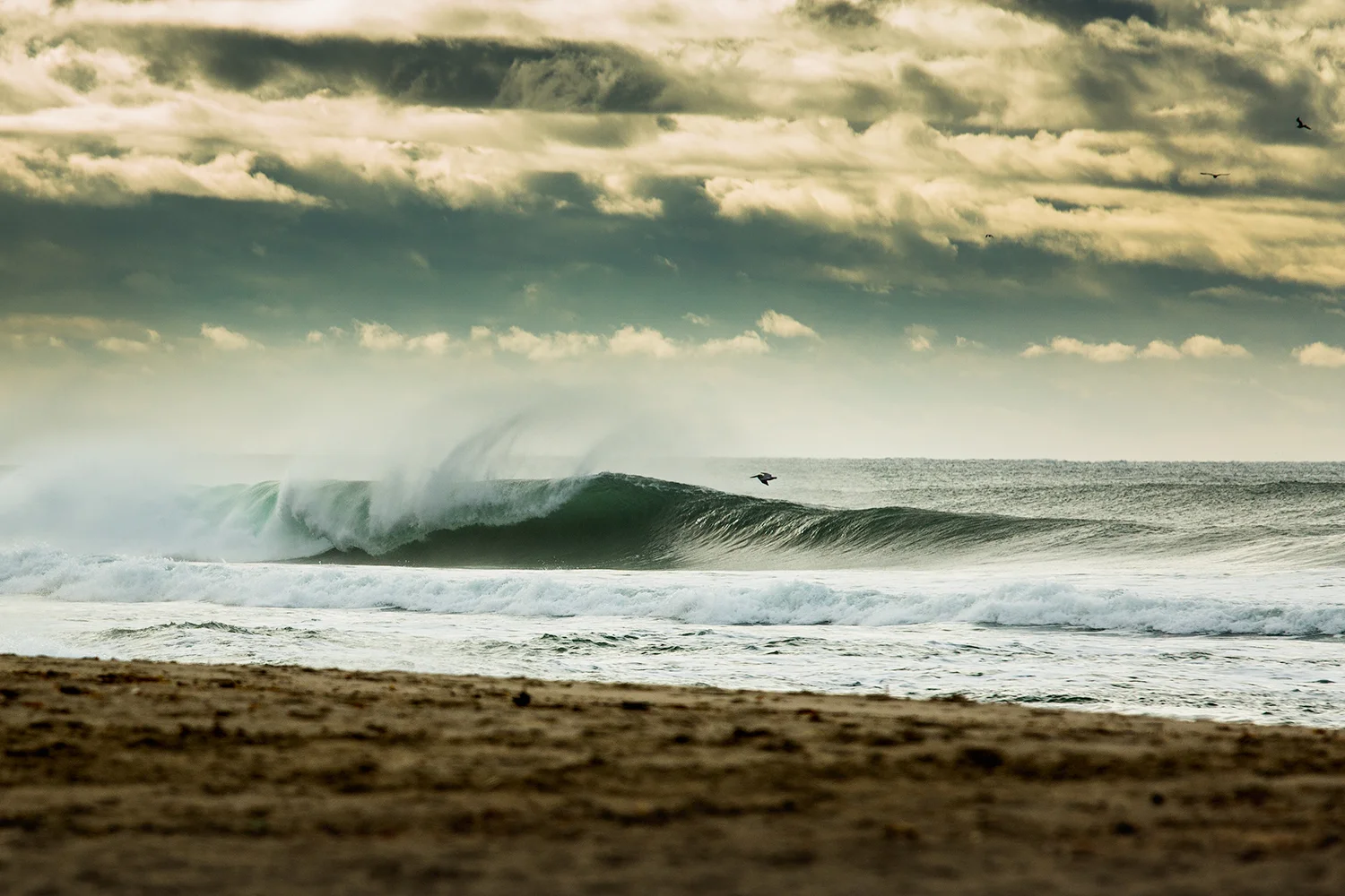 CA_Strand-9105.jpg