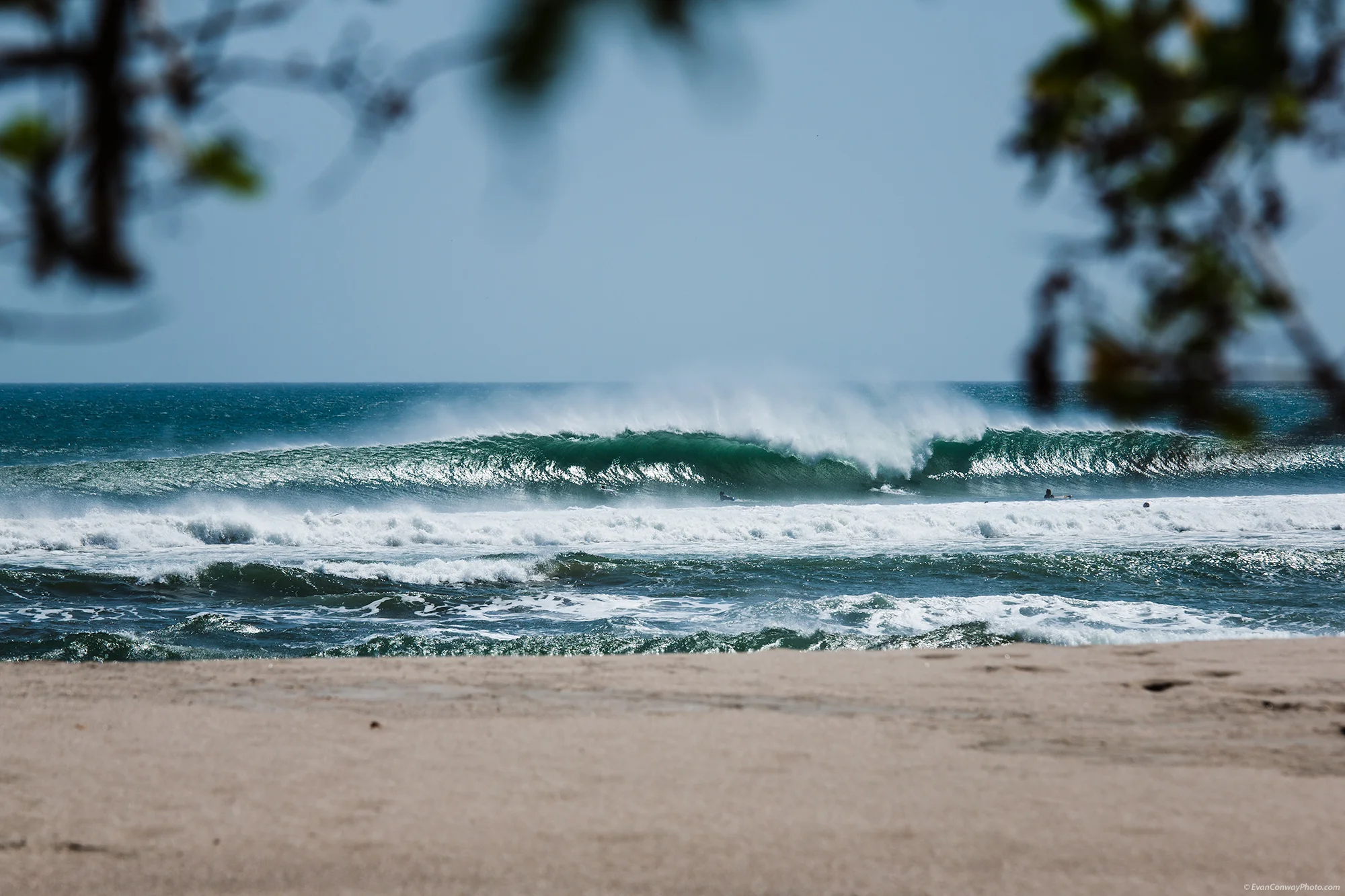 Econ_nica-7785.jpg