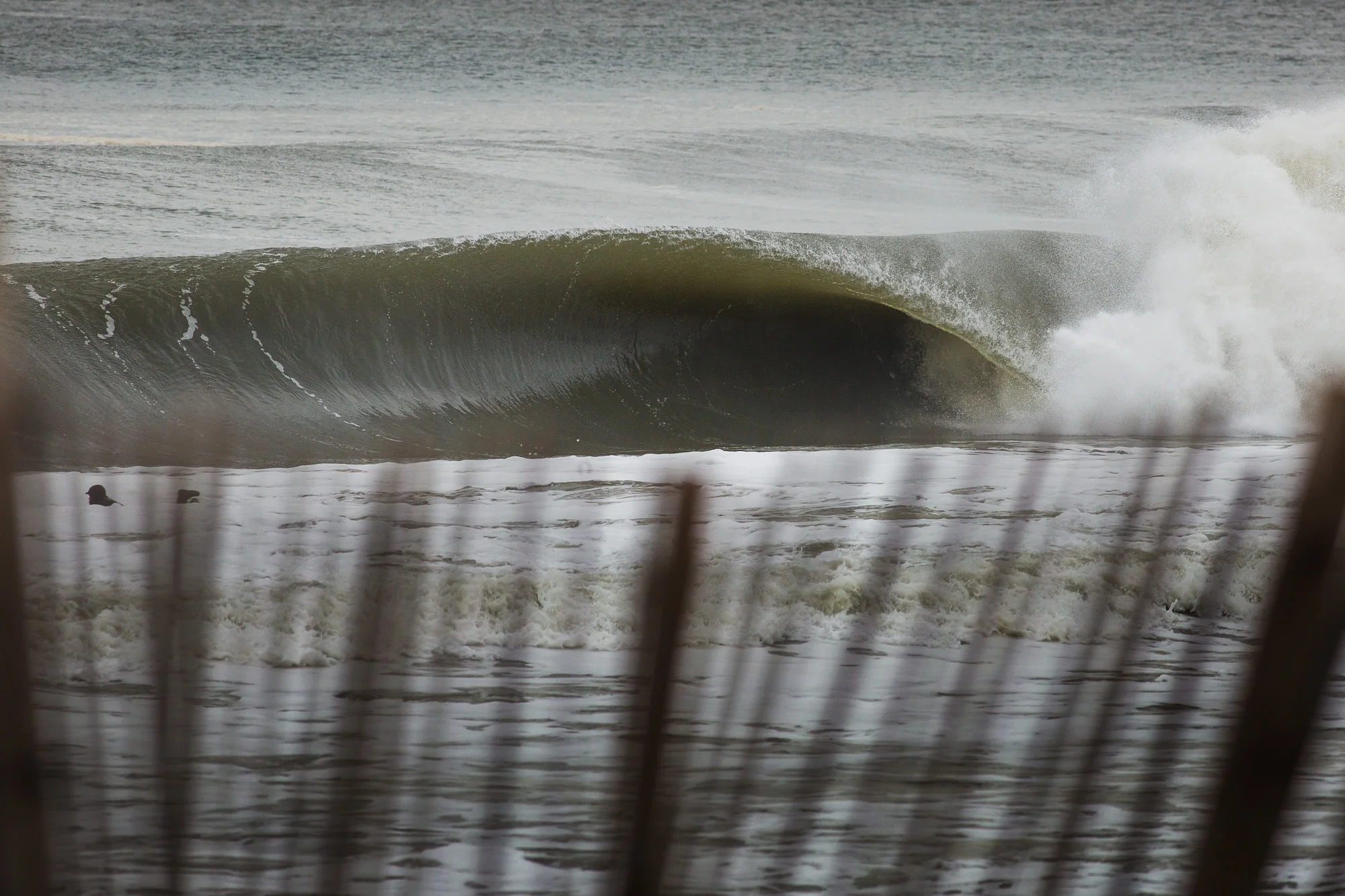 Conway_NJ_BrendanTighe-8176.jpg