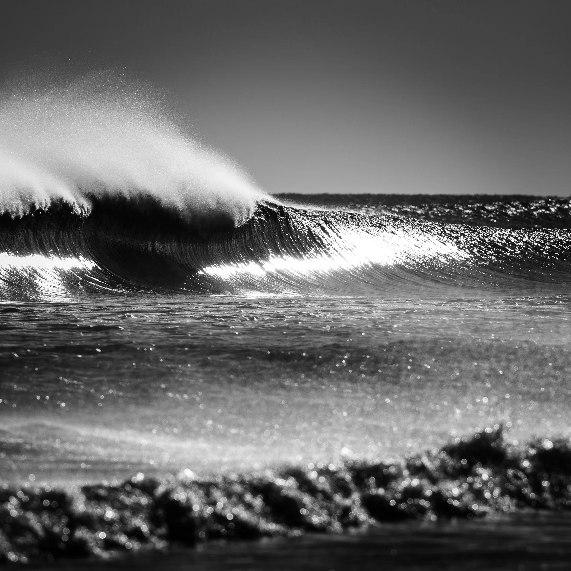 Conway_NJ_bayhead-9199_Bw.jpg