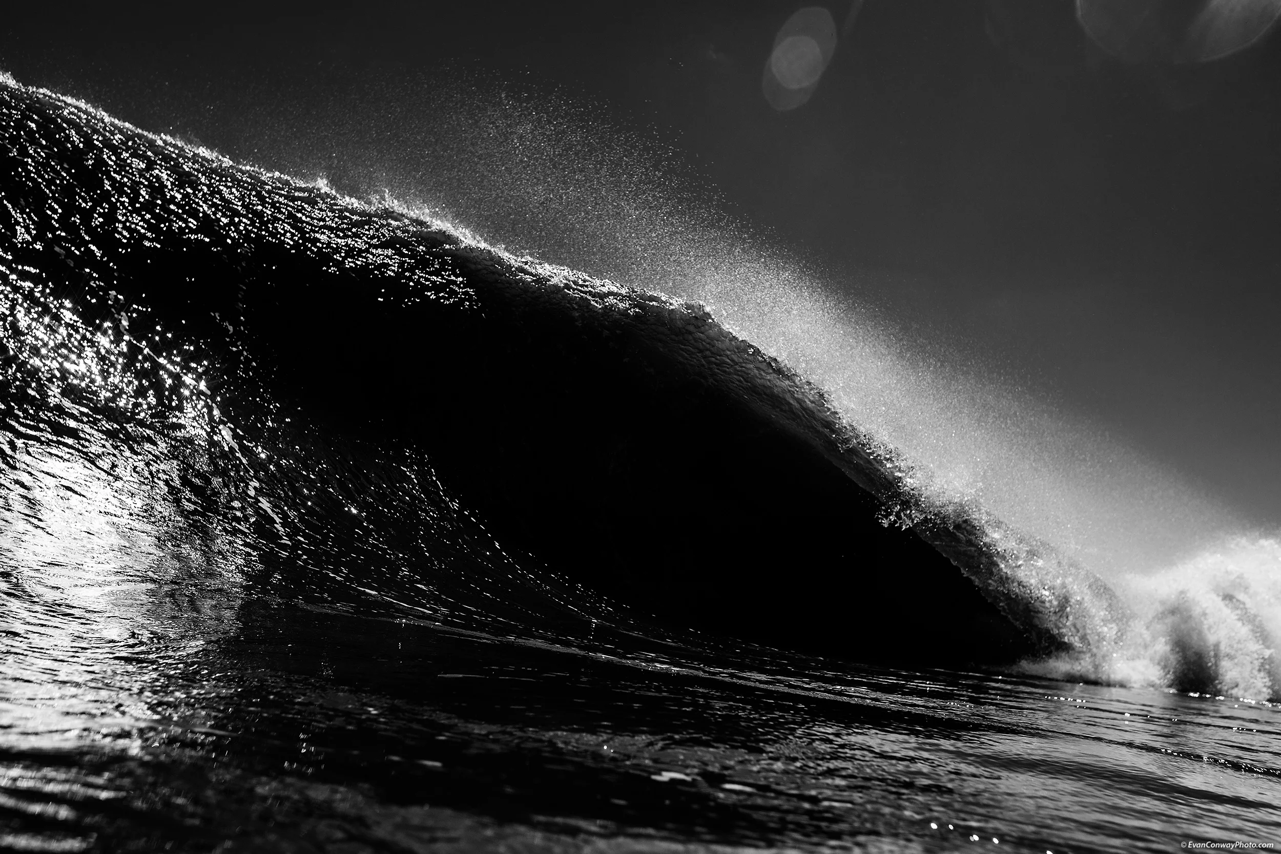 Econ_Q_NY-6938_BW.jpg