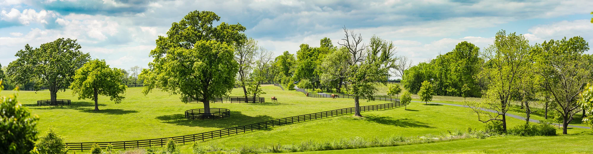 BredtoWin_Landscapes--6.jpg