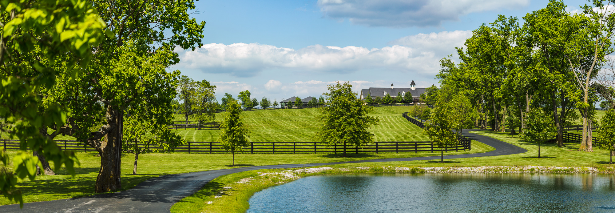 BredtoWin_Landscapes-.jpg