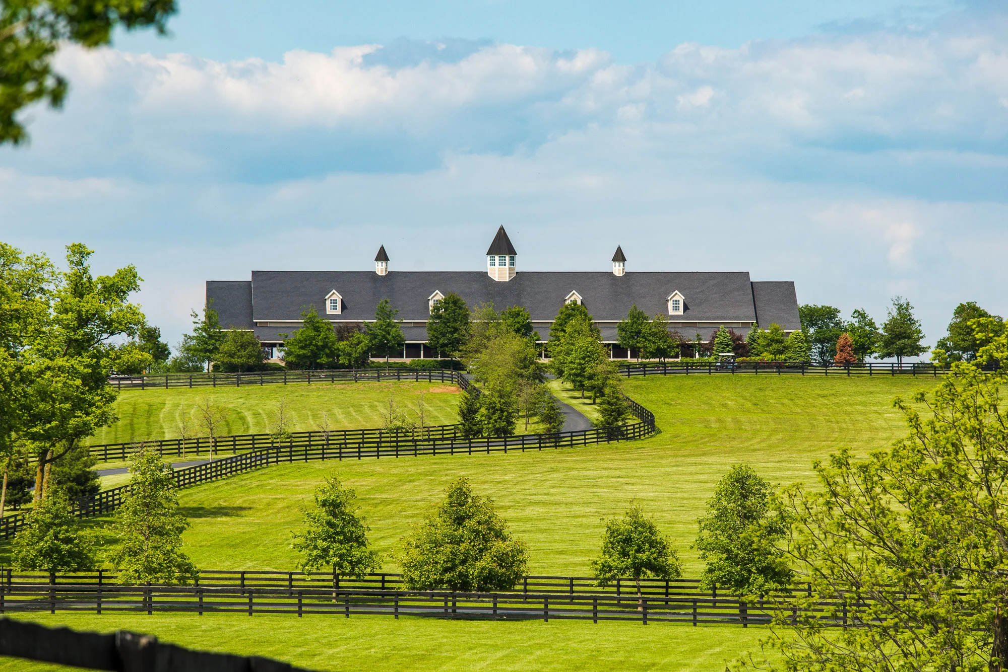 BredtoWin_Landscapes-2728.jpg