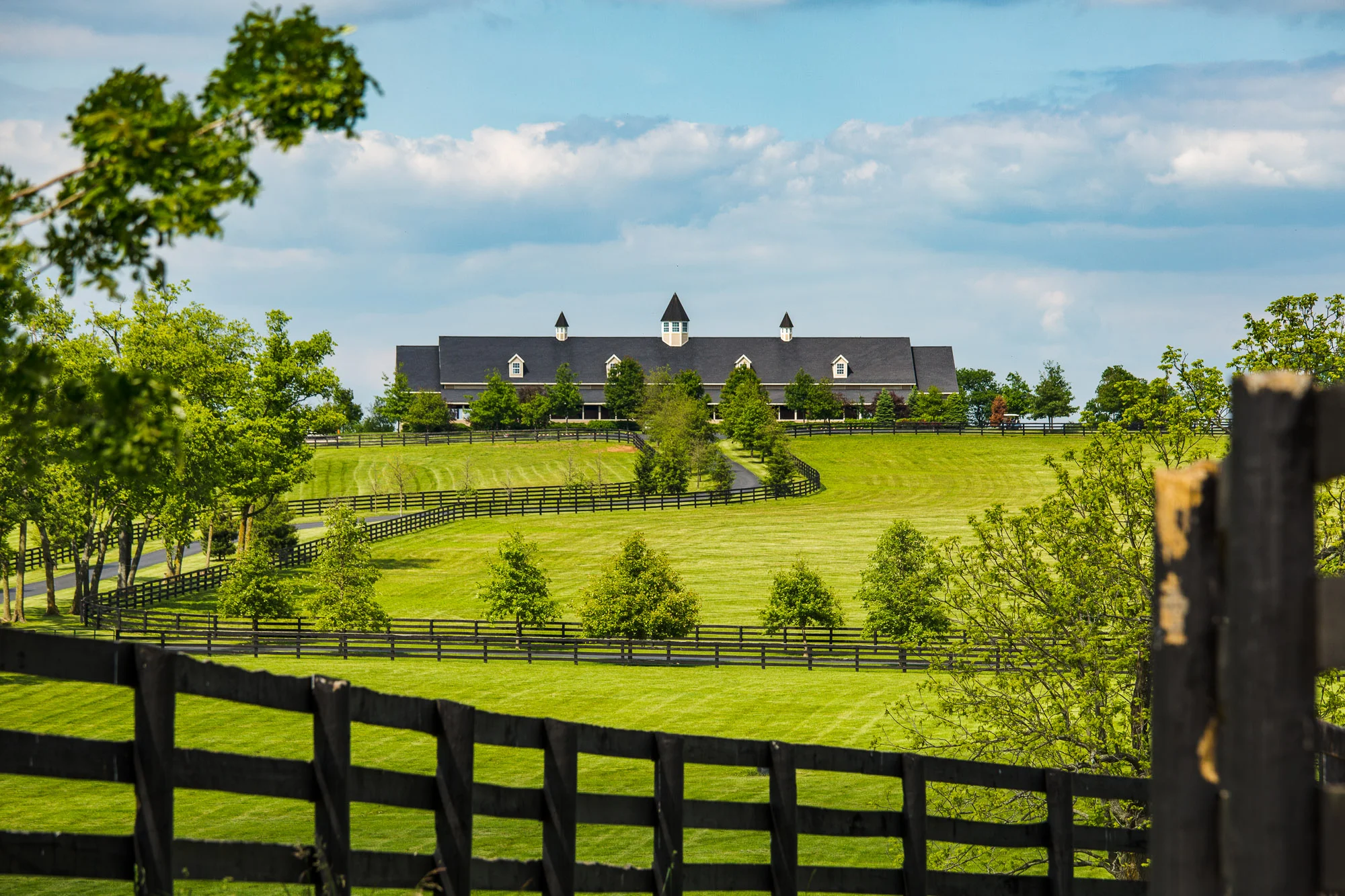 BredtoWin_Landscapes-2727.jpg