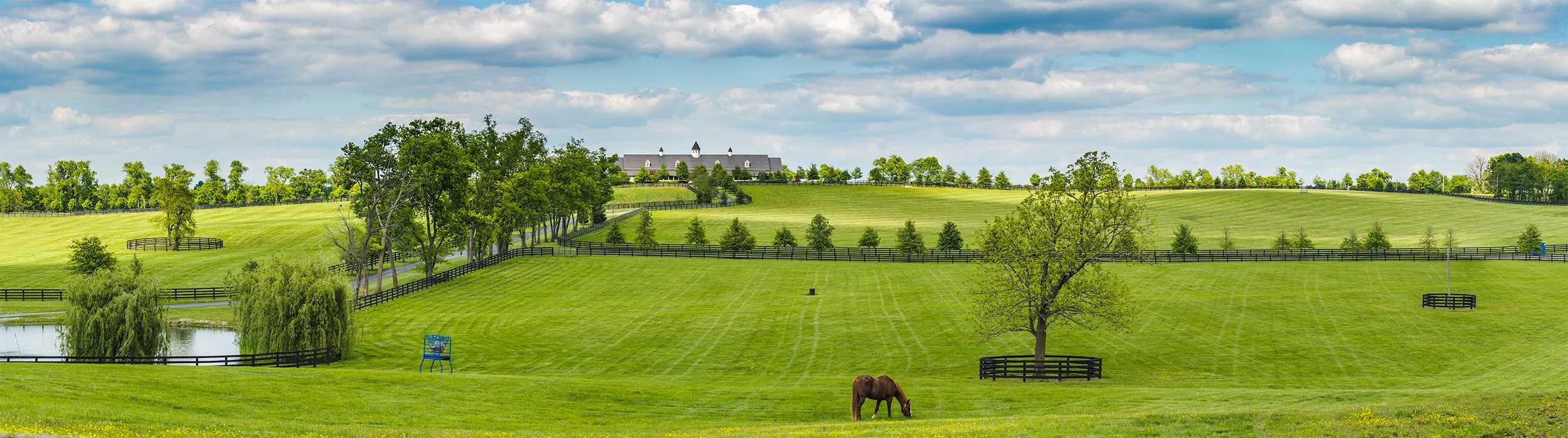 Kentucky-2713-Pano.jpg