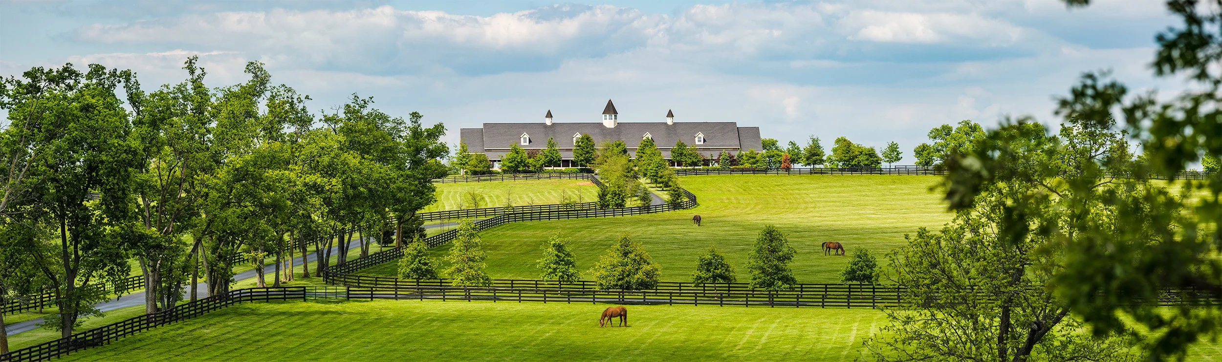 Kentucky-2715-Pano-2.jpg