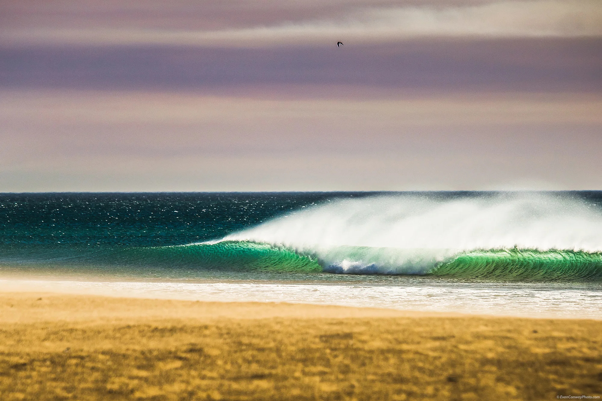 2014_Conway_California_PortHueneme.jpg