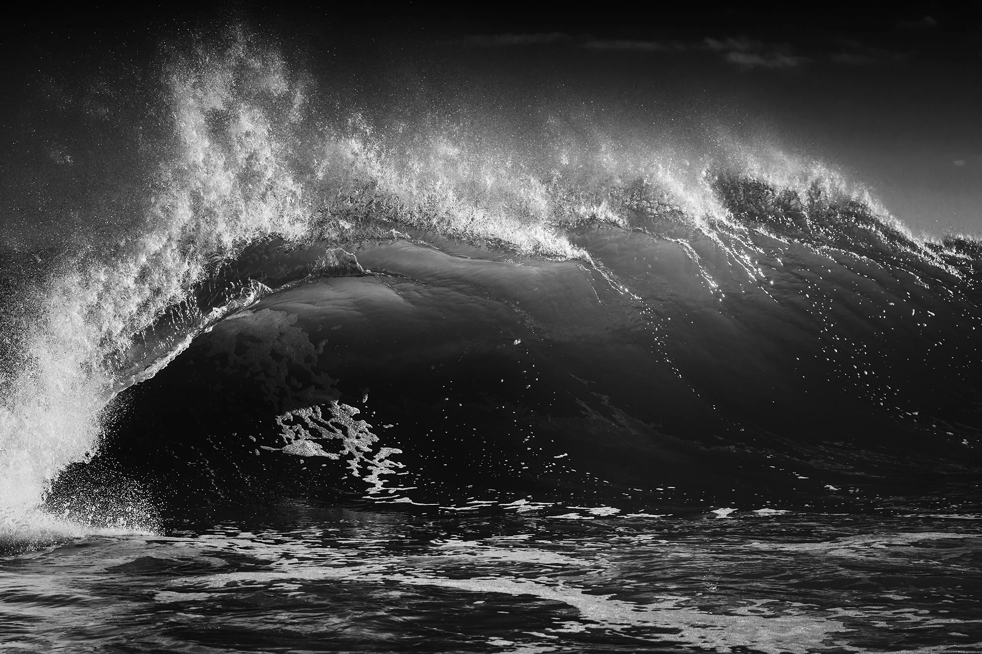 Ocean Flair 