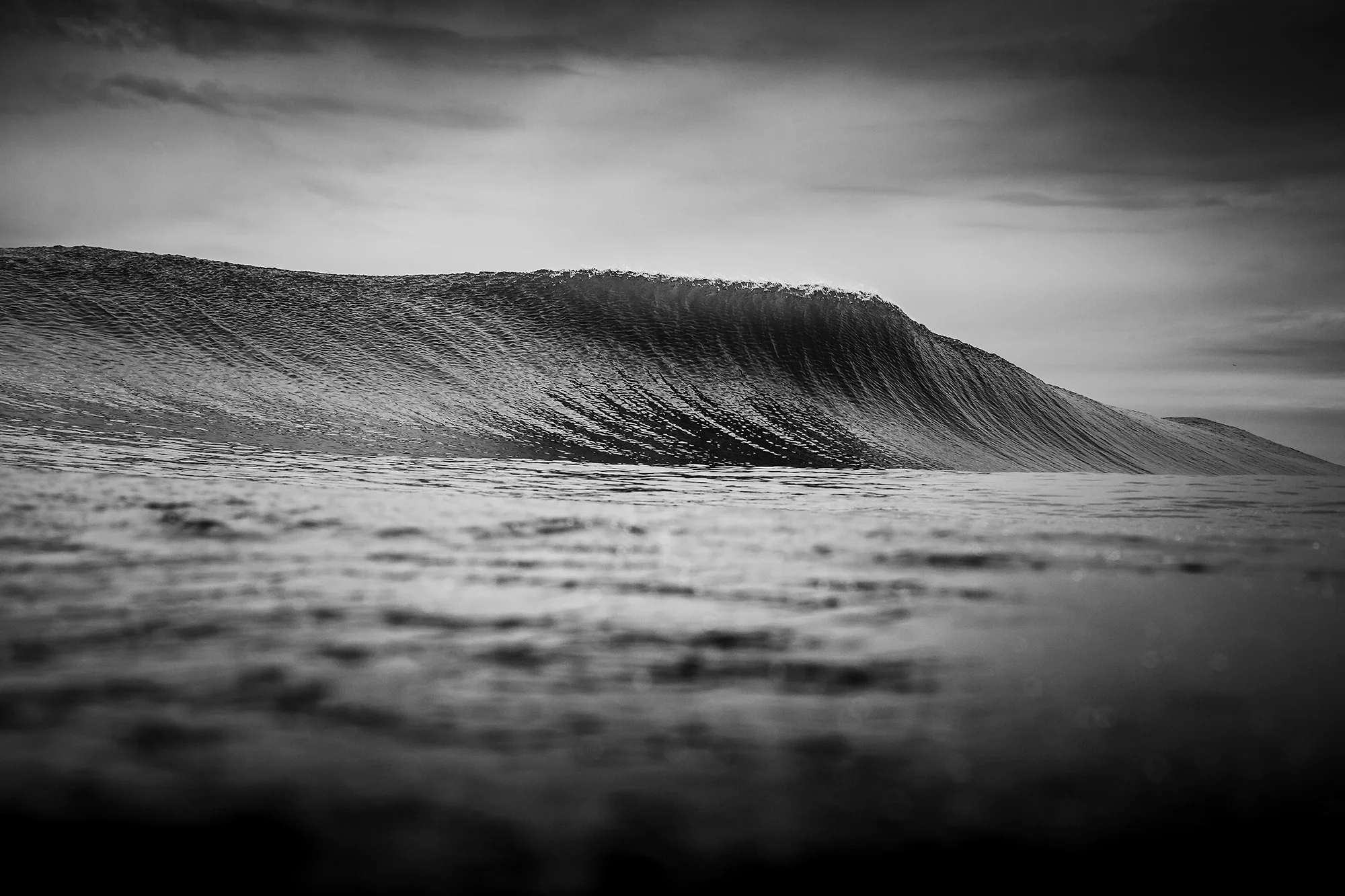 UltraFroth_ripDM-8831.jpg
